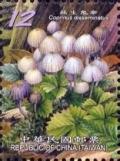 Colnect-4885-045-Coprinus-dlsseminatus.jpg