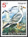 Colnect-732-664-European-Herring-Gull-Larus-argentatus.jpg