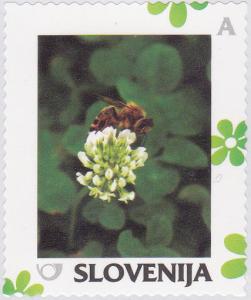 Colnect-2372-374-Spring-Bee-on-clover.jpg