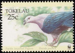 Colnect-1458-505-Pacific-Imperial-Pigeon-Ducula-pacifica.jpg