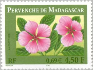Colnect-146-747-Madagascar-periwinkle-Catharanthus-roseus.jpg