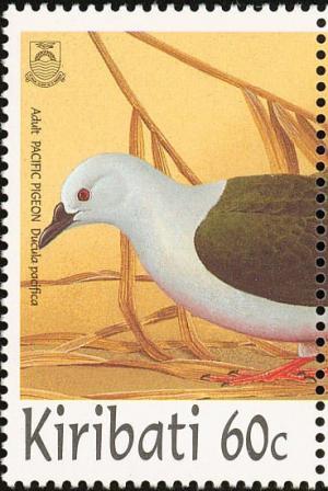 Colnect-1754-046-Pacific-Imperial-pigeon-Ducula-pacifica.jpg
