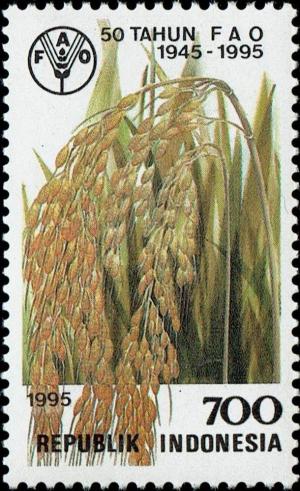 Colnect-4788-774-Food-and-Agriculture-Organization-Rice.jpg