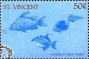 Colnect-5571-052-Caribbean-reef-fish.jpg