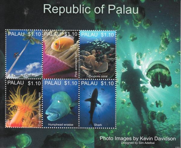 Colnect-4910-113-Marine-life-of-Palau.jpg
