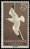 Colnect-1398-447-European-Herring-Gull-Larus-argentatus-.jpg