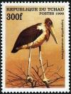 Colnect-2072-296-Marabou-Stork-Leptoptilos-crumeniferus.jpg