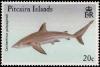 Colnect-3962-135-Galapagos-Shark-Carcharhinus-galapagensis.jpg