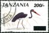 Colnect-3996-375-Saddle-billed-Stork-Ephippiorhynchus-senegalensis.jpg