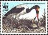 Colnect-488-960-Saddle-billed-Stork-Ephippiorhynchus-senegalensis.jpg