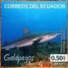 Colnect-5843-016-Galapagos-Shark-Carcharhinus-galapagensis.jpg