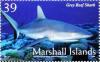 Colnect-6004-515-Grey-Reef-Shark-Carcharhinus-amblyrhynchos.jpg
