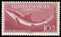 Colnect-1535-479-Blue-Shark-Carcharhinus-glaucus.jpg