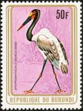 Colnect-3097-631-Saddle-billed-Stork-Ephippiorhynchus-senegalensis.jpg