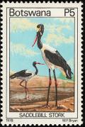 Colnect-597-734-Saddle-billed-Stork-Ephippiorhynchus-senegalensis.jpg