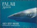 Colnect-4950-928-Grey-Reef-Shark-Carcharhinus-amblyrhynchos.jpg