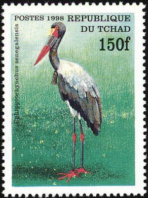 Colnect-1524-681-Saddle-billed-Stork-Ephippiorhynchus-senegalensis.jpg