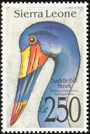 Colnect-1617-957-Saddle-billed-Stork-Ephippiorhynchus-senegalensis.jpg