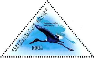 Colnect-3856-449-Saddle-billed-Stork-Ephippiorhynchus-senegalensis.jpg