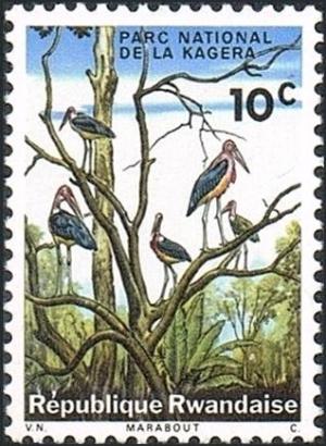 Colnect-4314-876-Marabou-Stork-Leptoptilus-crumeniferus.jpg