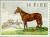 Colnect-128-641-Racehorse--quot-Arkle-quot--Equus-ferus-caballus.jpg