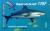 Colnect-2139-052-Grey-Reef-Shark-Carcharhinus-amblyrhynchos.jpg