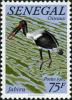 Colnect-2059-558-Saddle-billed-Stork-Ephippiorhynchus-senegalensis.jpg