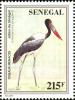 Colnect-2199-425-Saddle-billed-Stork-Ephippiorhynchus-senegalensis.jpg