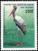 Colnect-1524-681-Saddle-billed-Stork-Ephippiorhynchus-senegalensis.jpg