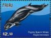Colnect-4971-656-Pygmy-Sperm-Whale-Kogia-breviceps.jpg