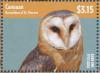Colnect-4222-345-Western-Barn-Owl-Tyto-alba.jpg