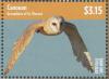 Colnect-4222-346-Western-Barn-Owl-Tyto-alba.jpg