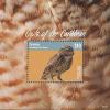 Colnect-4222-349-Western-Barn-Owl-Tyto-alba.jpg
