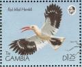 Colnect-1721-704-Red-billed-Hornbill-Tockus-erythrorhynchus.jpg