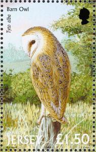 Colnect-1690-278-Western-Barn-Owl-Tyto-alba.jpg