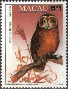 Colnect-1488-157-Western-Barn-Owl-Tyto-alba.jpg