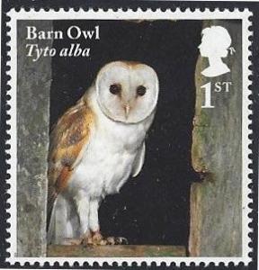Colnect-4978-988-Barn-Owl---Tyto-alba.jpg