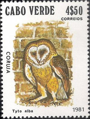 Colnect-1123-592-Western-Barn-Owl-Tyto-alba.jpg