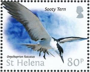 Colnect-4524-391-Sooty-Tern-Onychoprion-fuscatus.jpg