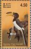 Colnect-2543-528-Malabar-Pied-Hornbill-Anthracoceros-coronatus.jpg