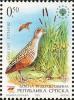 Colnect-2714-682-Corn-Crake-Crex-crex.jpg