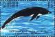Colnect-4698-200-Northern-rightwhale-dolphin.jpg
