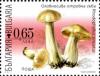 Colnect-1389-983-Poisonous-Mushrooms---Rhodophyllus-sinuatus.jpg