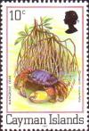 Colnect-1675-495-Red-Mangrove-Root-Crab-Goniopsis-cruentata.jpg