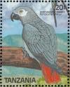 Colnect-1745-639-Grey-Parrot-Psittacus-erithacus.jpg