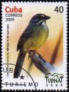 Colnect-1761-444-Cuban-Sparrow-Torreornis-inexpectata.jpg
