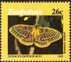 Colnect-3265-609-Zaddach-s-Emperor-Moth-Bunaeopsis-zaddachi-.jpg