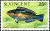 Colnect-5857-002-Princess-Parrotfish-Scarus-taeniopterus.jpg
