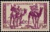 Colnect-850-823-Warriors-on-Dromedary-Camelus-dromedarius.jpg