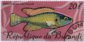 Colnect-1320-968-Egyptian-Moothbrooder-Haplochromis-strigigena.jpg